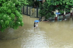Đường Phạm Văn Xảo, phường Lào Cai, thành phố Lào Cai bị lũ tràn vào, ngập trong biển nước lúc 11g30 ngày 9/9 khiến người dân đi lại khó khăn. (Ảnh: Quốc Khánh/TTXVN)