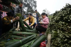 Đi chợ Nủa mua sản vật đặc trưng của vùng thôn quê Bắc Bộ xưa