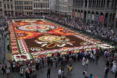 Gần 1 triệu bông thu hải đường đầy màu sắc đã được huy động về quảng trường trung tâm Grand Place ở Brussels, Bỉ để tạo thành tấm thảm hoa khổng lồ.