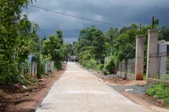 (Ảnh minh họa: Hoài Thu/TTXVN)