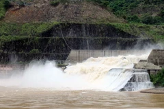 (Ảnh minh họa: Diệp Anh/TTXVN)