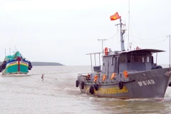 (Ảnh chỉ có tính minh họa: Trung Hiếu/TTXVN)