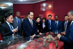 Chủ tịch nước Trần Đại Quang và Phu nhân cùng Đoàn đại biểu Cấp cao Việt Nam tham quan Bảo tàng Quốc gia Ethiopia. (Ảnh: Nhan Sáng/TTXVN)