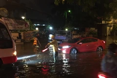 (Ảnh minh họa: Dương Giang/TTXVN)