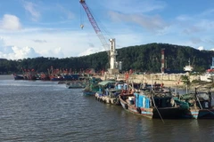 (Ảnh minh họa: Nguyễn Oanh/TTXVN)