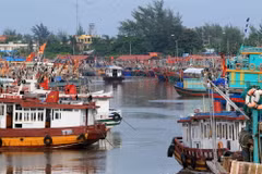 Tàu, thuyền neo đậu tránh bão an toàn tại khu cảng cá Ngọc Hải, Đồ Sơn. (Ảnh: An Đăng/TTXVN)