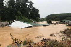 (Ảnh minh họa: Cao Nguyên/TTXVN)