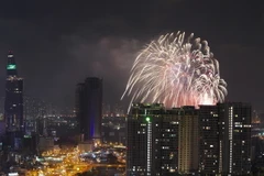 (Ảnh: Quang Nhựt/TTXVN)