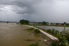 (Ảnh minh họa: Minh Quyết/TTXVN)