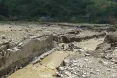 (Ảnh minh họa: Nguyễn Chiến/TTXVN)