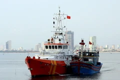 (Ảnh minh họa: Trần Lê Lâm/TTXVN)