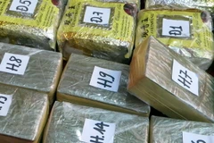 (Ảnh minh họa: Văn Đạt/TTXVN)