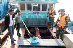 Lực lượng chức năng kiểm số cá song giống nhập lậu. (Ảnh: Nguyễn Hoàng/TTXVN)