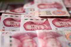 Ảnh chỉ có tính minh họa. (Nguồn: AFP/TTXVN)