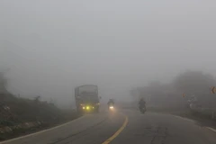 Tuyến đường quốc lộ 6 đoạn qua huyện Mộc Châu, tỉnh Sơn La bị sương mù dày đặc. (Ảnh Công Luật/TTXVN) 