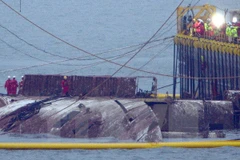 Lực lượng cứu hộ làm nhiệm vụ trục vớt phà Sewol trên vùng biển gần Jindo, cách Seoul 472km về phía tây nam ngày 23/3. (Ảnh: Yonhap/TTXVN)