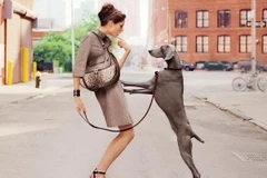 Coco Rocha. (Nguồn: Vietnam+)