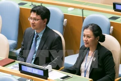 Đại sứ Nguyễn Phương Nga (phải). (Ảnh: Lê Dương/TTXVN)