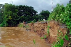 Điểm sạt lở bờ sông Tiền trên địa bàn phường An Lạc (thị xã Hồng Ngự, tỉnh Đồng Tháp) dài hơn 100m, ăn sâu vào đất liền hơn 15m, đe dọa tính mạng và tài sản của người dân. (Ảnh: Mạnh Linh/TTXVN)