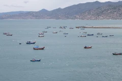 (Ảnh minh họa: Nguyễn Thành/TTXVN)