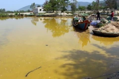 Nước màu vàng lạ xuất hiện nhiều nhất ở xã Lộc Vĩnh, gần cảng Chân Mây-Lăng Cô. (Ảnh: Quốc Việt/TTXVN)
