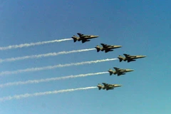 Máy bay chiến đấu của Không quân Ấn Độ trình diễn trong lễ kỷ niệm. (Nguồn: THX/TTXVN)