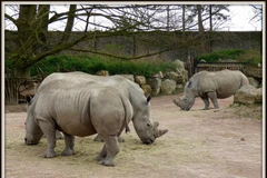 (Nguồn: eclatslumierevie.canalblog.com)