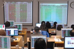 Ảnh minh họa (Nguồn: TTXVN)