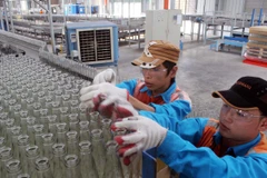 Ảnh minh họa (Nguồn: TTXVN)