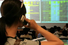 Ảnh minh họa (Nguồn: TTXVN)