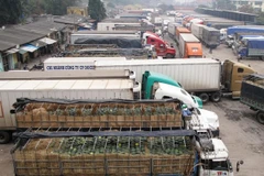 Ngành tài chính tính đưa kinh doanh vận tải vào diện kê khai giá 