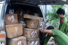 Ảnh chỉ có tính minh họa. (Ảnh: Xuân Triệu/TTXVN)