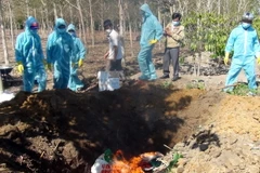 Tiêu hủy gia cầm nhiễm bệnh. Ảnh minh họa. (Ảnh: Quang Thái/TTXVN)