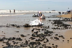 Ảnh chỉ có tính minh họa. (Ảnh: Đoàn Mạnh Dương/TTXVN)