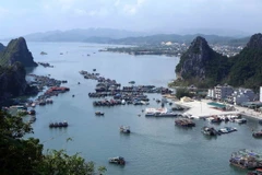 Vịnh Hạ Long. (Ảnh: Minh Quyết/TTXVN)