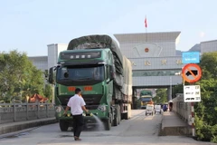 Phun thuốc khử trùng cho các phương tiện xuất nhập khẩu hàng hóa qua cửa khẩu quốc tế Tà Lùng, huyện Phục Hòa. (Ảnh: Quân Trang/TTXVN)