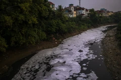 Một đoạn đầy rác thải và bọt hóa chất phủ đầy mặt sông Nhuệ, đoạn qua phường Cầu Diễn, quận Nam Từ Liêm, Hà Nội. (Ảnh: Trọng Đạt/TTXVN)