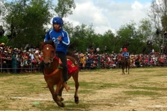 Ngựa bứt tốc để về đích. (Ảnh: Xuân Triệu/TTXVN)