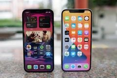 Mẫu IPhone 12 và iPhone 12 Pro. (Nguồn: forbes.com)
