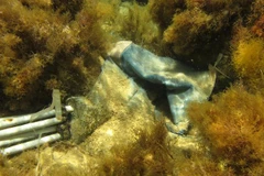 Rác thải nhựa dưới đáy biển ở gần bờ biển Lindos trên đảo Rhode, Hy Lạp. (Ảnh: AFP/TTXVN)