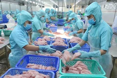 Chế biến cá tra xuất khẩu. (Ảnh: Vũ Sinh/TTXVN)