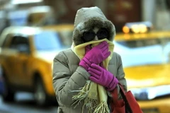 Ấn Độ: Delhi đang trải qua đợt giá lạnh nhất trong vòng 11 năm