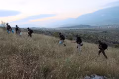Cảnh sát Albania phá hủy hàng chục nghìn cây gai dầu 