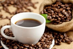 Ảnh minh họa. (Nguồn: inhabitat.com)