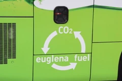 Isuzu phát triển nhiên liệu sinh học từ vi tảo cho xe ôtô