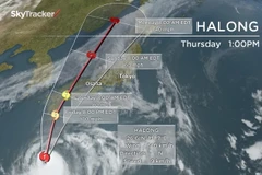 Bão Halong đổ bộ vào Nhật Bản, hàng trăm chuyến bay bị hủy