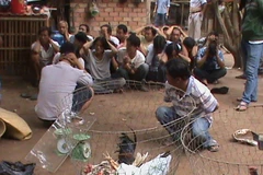 Tiền Giang: Triệt phá trường gà lớn, tạm giữ 53 đối tượng