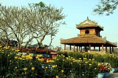 Miễn vé tham quan ngày 2/9 cho du khách tại khu di sản Huế