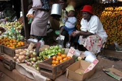 Châu Phi thúc đẩy việc thành lập Khu vực Thương mại Tự do 