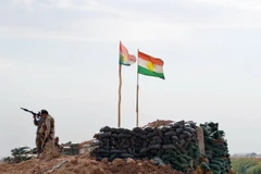 Mỹ và đồng minh sẽ lập 3 cơ sở huấn luyện quân sự ở Iraq